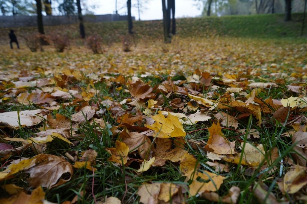 Jesienna Legnica oczami naszych czytelników cz3