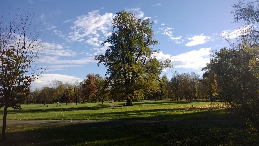 Jesienna Legnica oczami naszych czytelników cz3