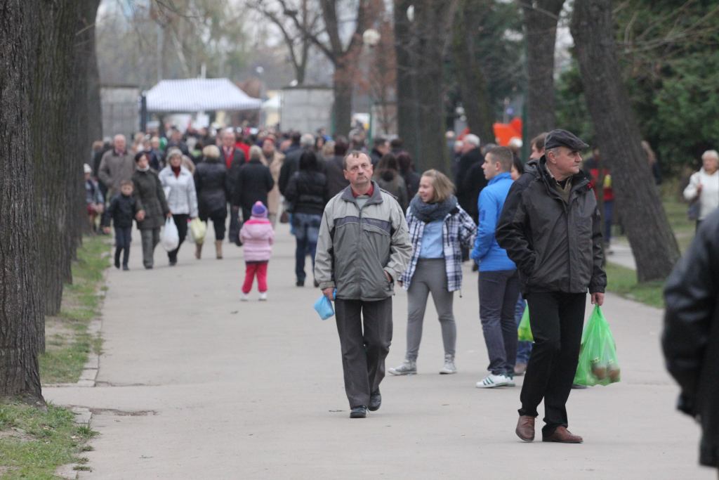Msza Święta na legnickim cmentarzu