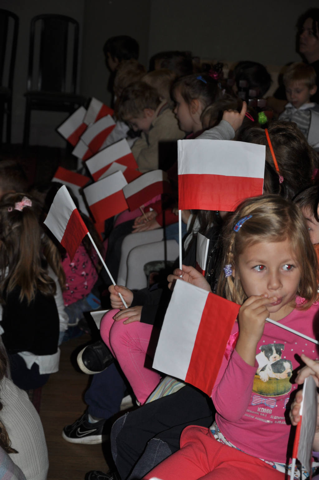 Koncert patriotyczny zorganizowany przez TPD