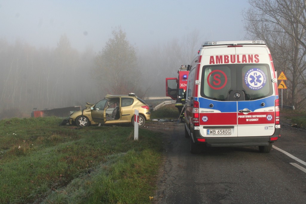Wypadek na ulicy Pątnowskiej