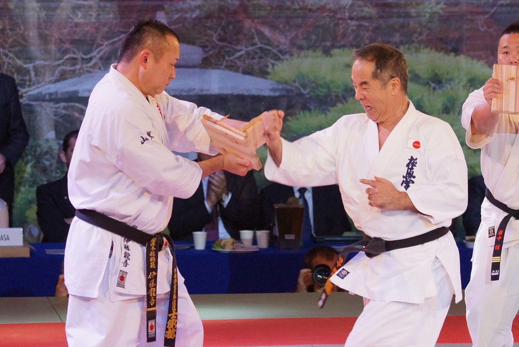 Mistrzostwa Europy Karate Kyokushin