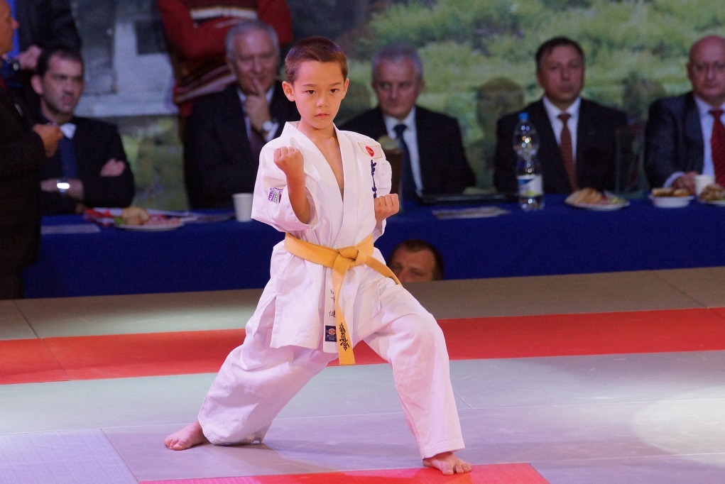 Mistrzostwa Europy Karate Kyokushin