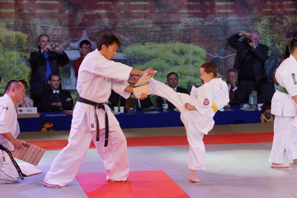 Mistrzostwa Europy Karate Kyokushin
