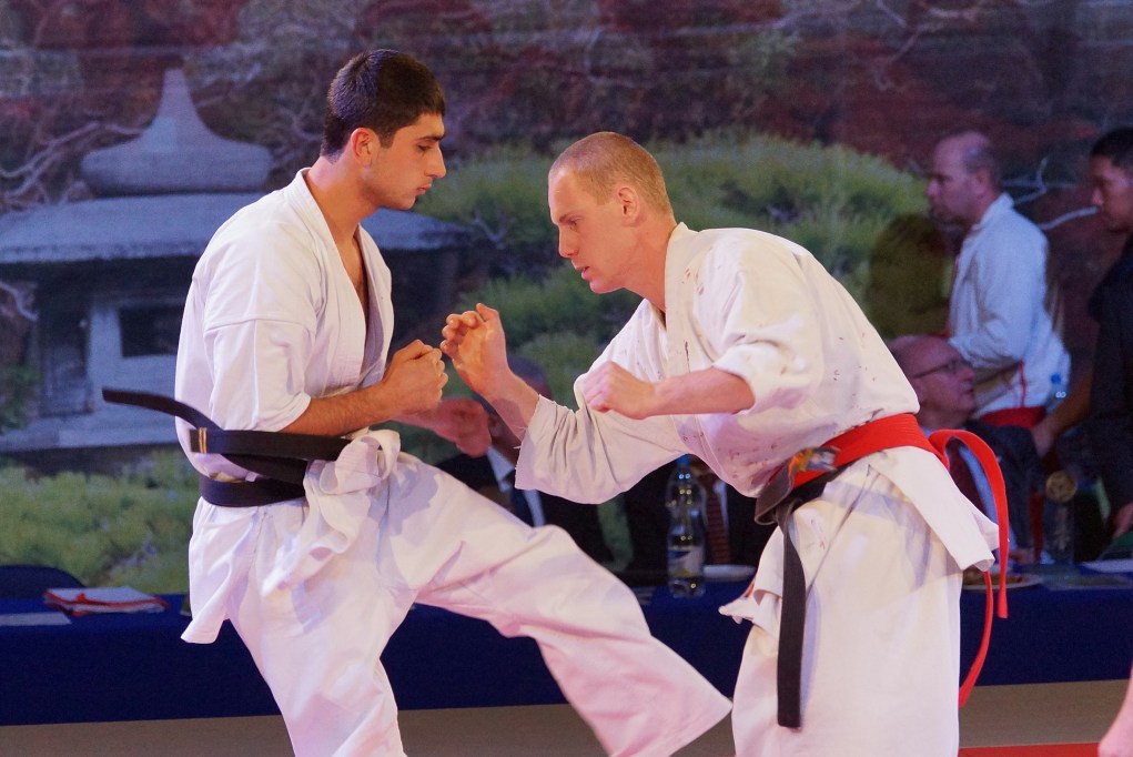 Mistrzostwa Europy Karate Kyokushin