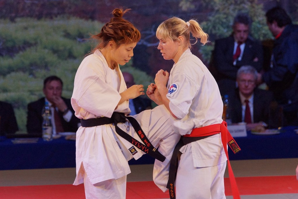 Mistrzostwa Europy Karate Kyokushin