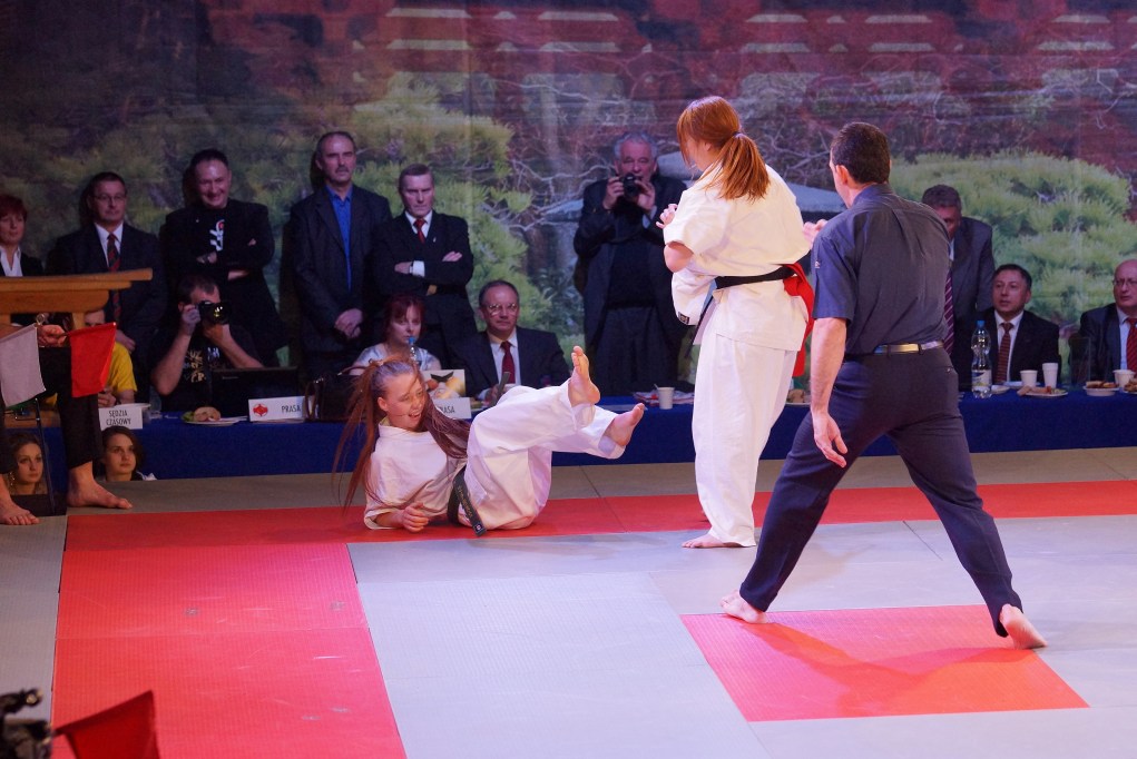 Mistrzostwa Europy Karate Kyokushin