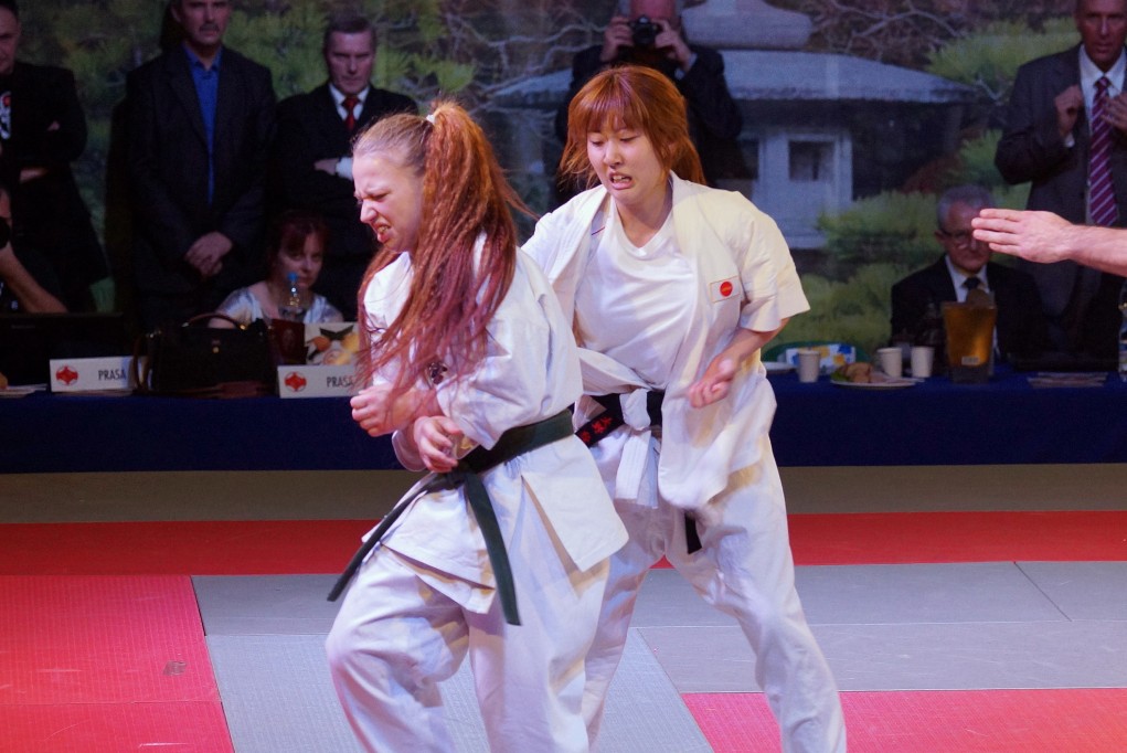 Mistrzostwa Europy Karate Kyokushin
