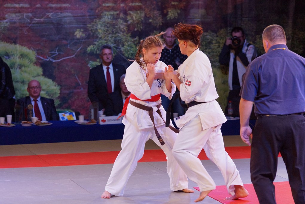 Mistrzostwa Europy Karate Kyokushin