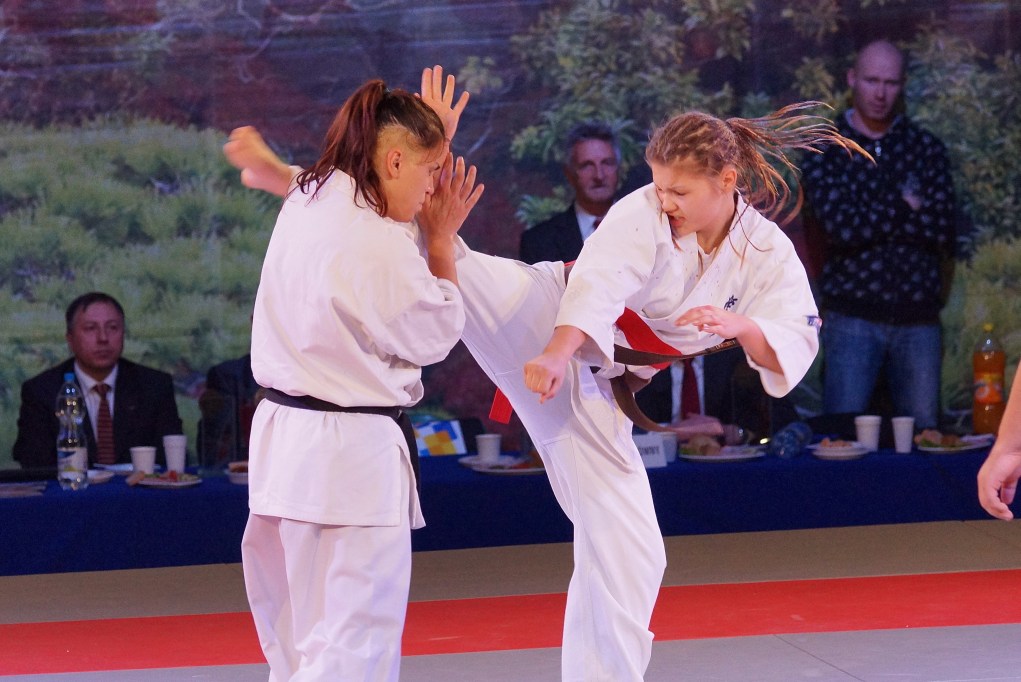 Mistrzostwa Europy Karate Kyokushin