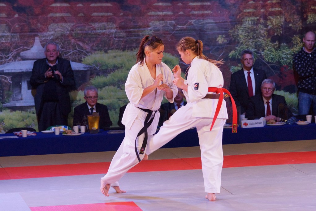 Mistrzostwa Europy Karate Kyokushin