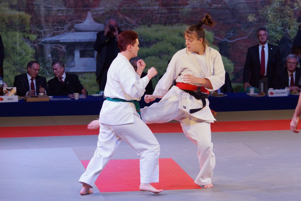 Mistrzostwa Europy Karate Kyokushin