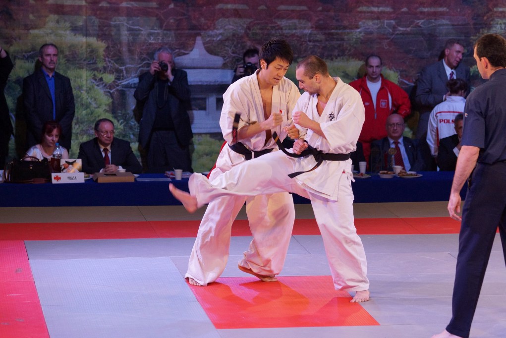 Mistrzostwa Europy Karate Kyokushin