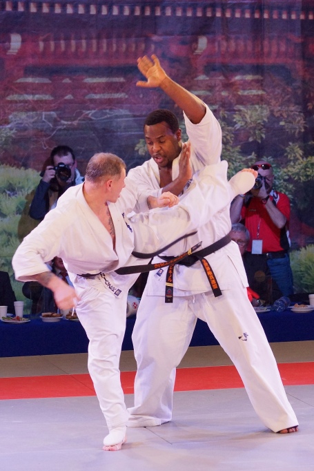 Mistrzostwa Europy Karate Kyokushin