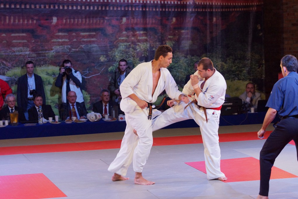 Mistrzostwa Europy Karate Kyokushin