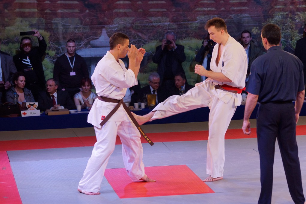 Mistrzostwa Europy Karate Kyokushin