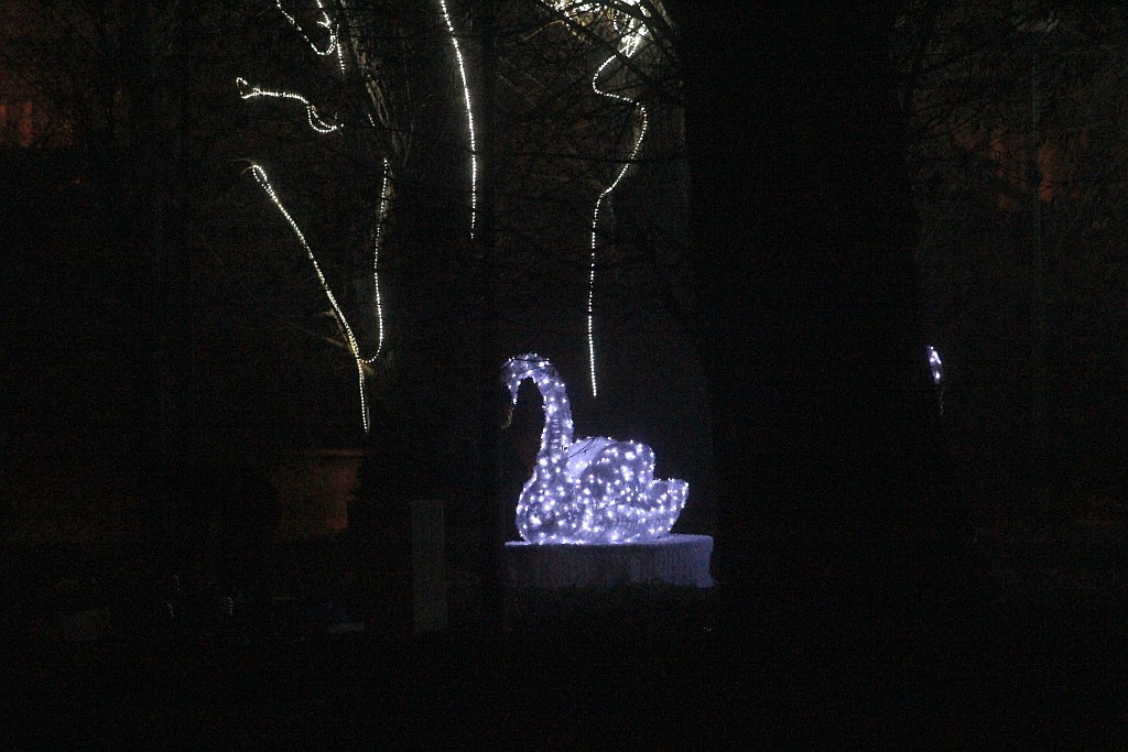 Montaż iluminacji świetlnych