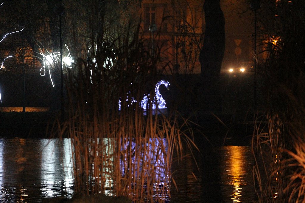 Montaż iluminacji świetlnych