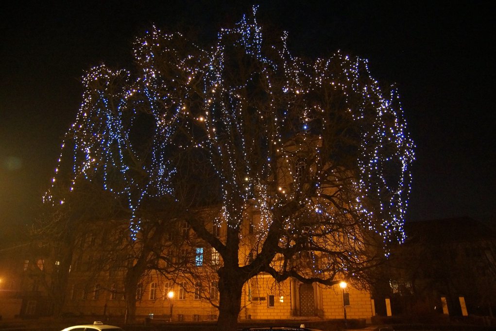 Świąteczna iluminacja Legnicy