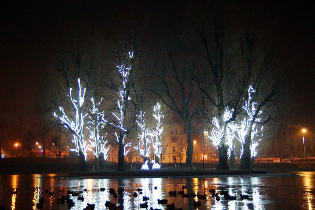 Świąteczna iluminacja Legnicy