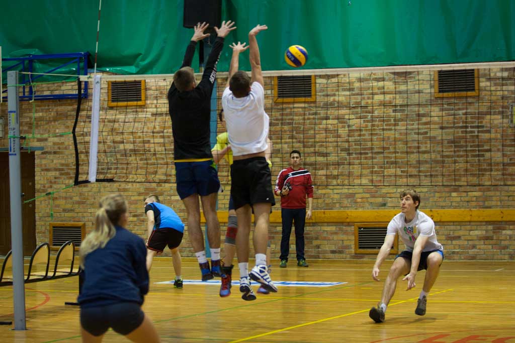 Makutra 2013