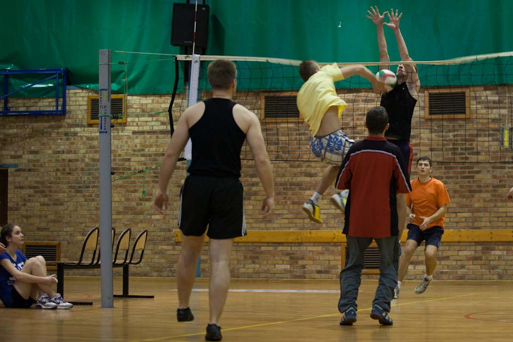 Makutra 2013