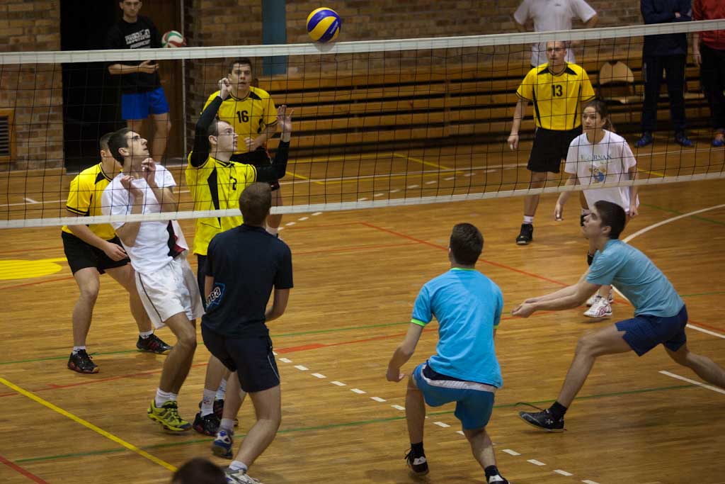 Makutra 2013