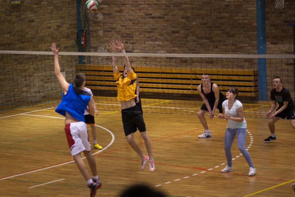 Makutra 2013