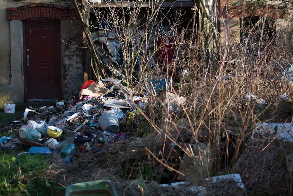 Prawdziwe pieskie życie w podlegnickim Pątnówku