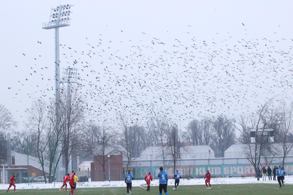Sparing: Miedź Legnica CLJ - Lech Poznań CLJ 1:5