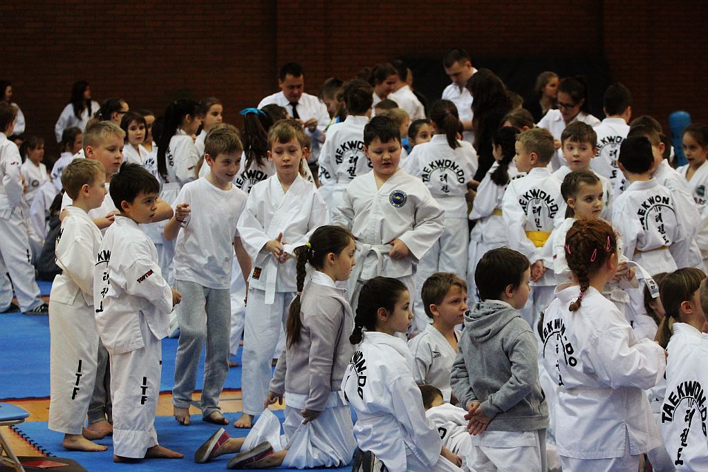 Mistrzostwa Zagłębia Miedziowego w Taekwon-do
