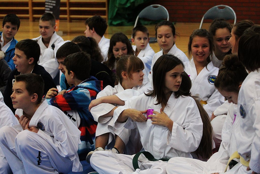 Mistrzostwa Zagłębia Miedziowego w Taekwon-do