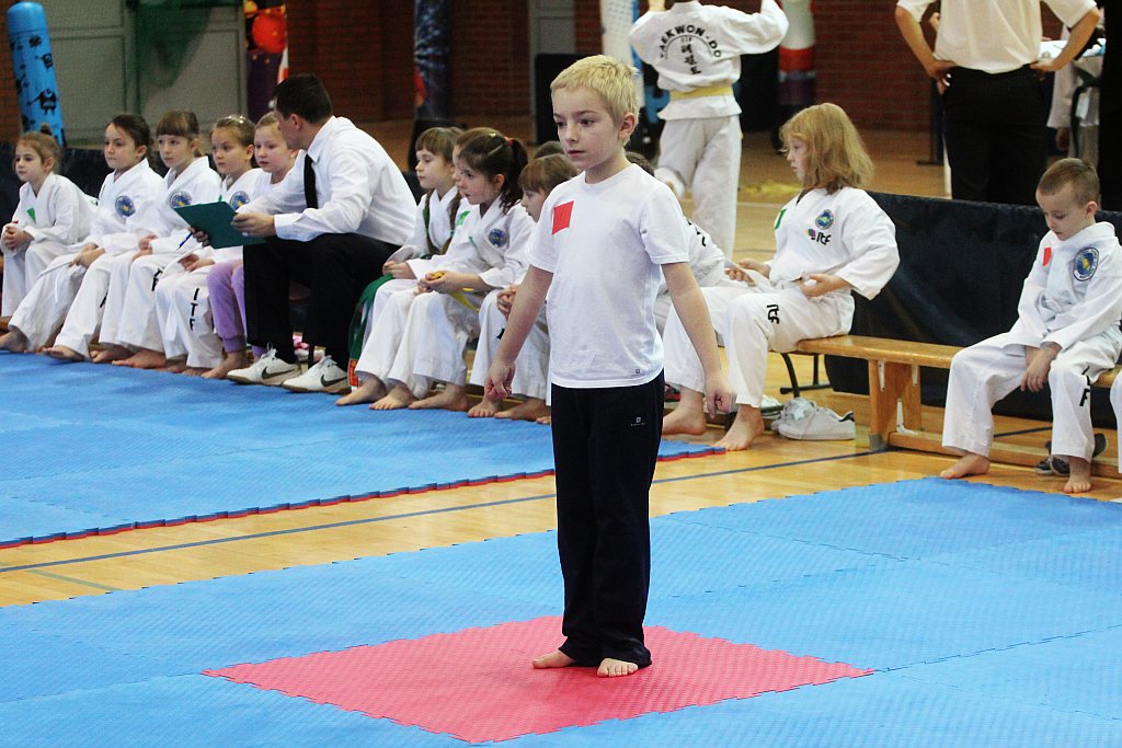 Mistrzostwa Zagłębia Miedziowego w Taekwon-do