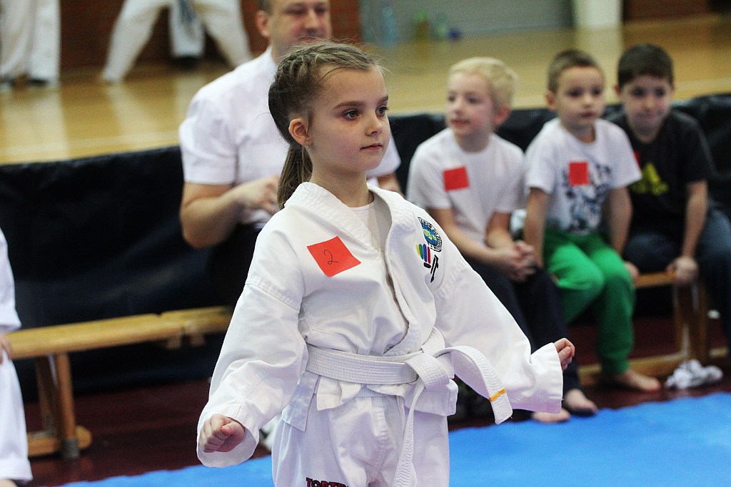 Mistrzostwa Zagłębia Miedziowego w Taekwon-do
