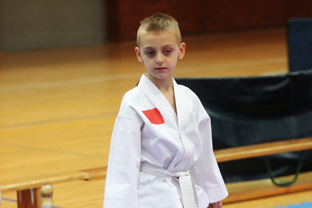 Mistrzostwa Zagłębia Miedziowego w Taekwon-do