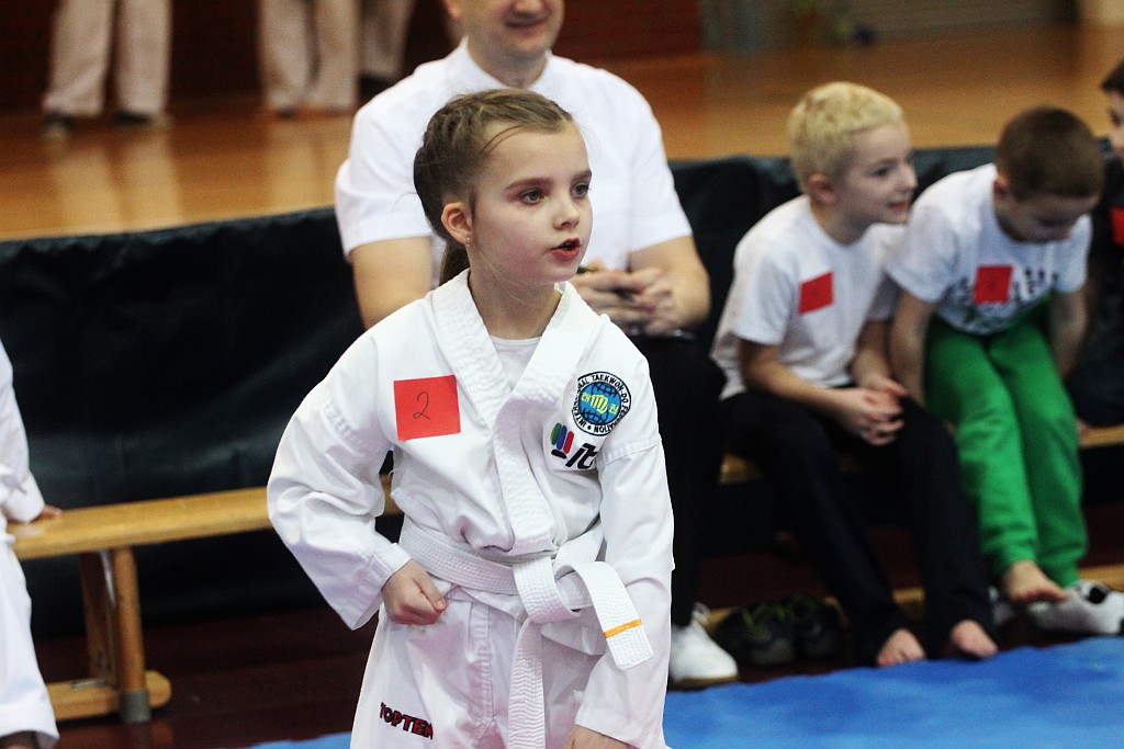 Mistrzostwa Zagłębia Miedziowego w Taekwon-do