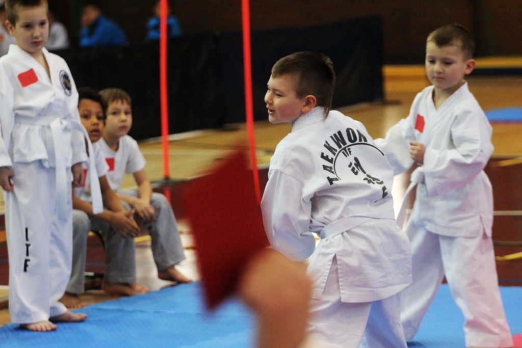 Mistrzostwa Zagłębia Miedziowego w Taekwon-do