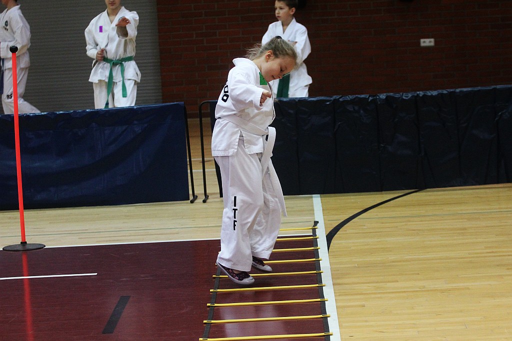 Mistrzostwa Zagłębia Miedziowego w Taekwon-do