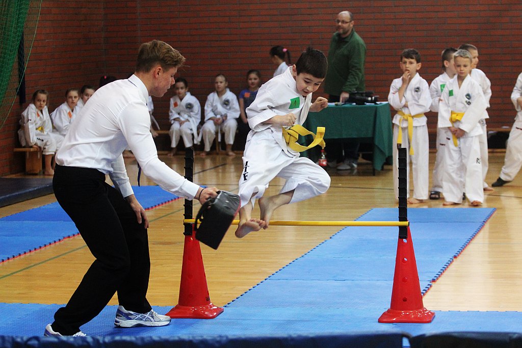 Mistrzostwa Zagłębia Miedziowego w Taekwon-do