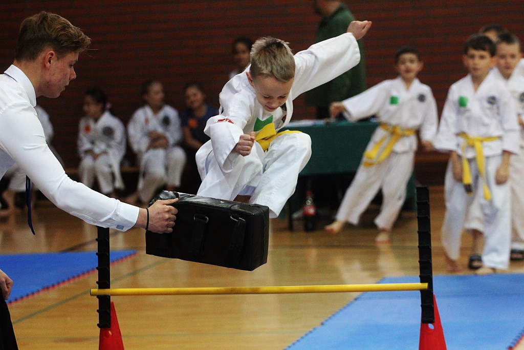 Mistrzostwa Zagłębia Miedziowego w Taekwon-do