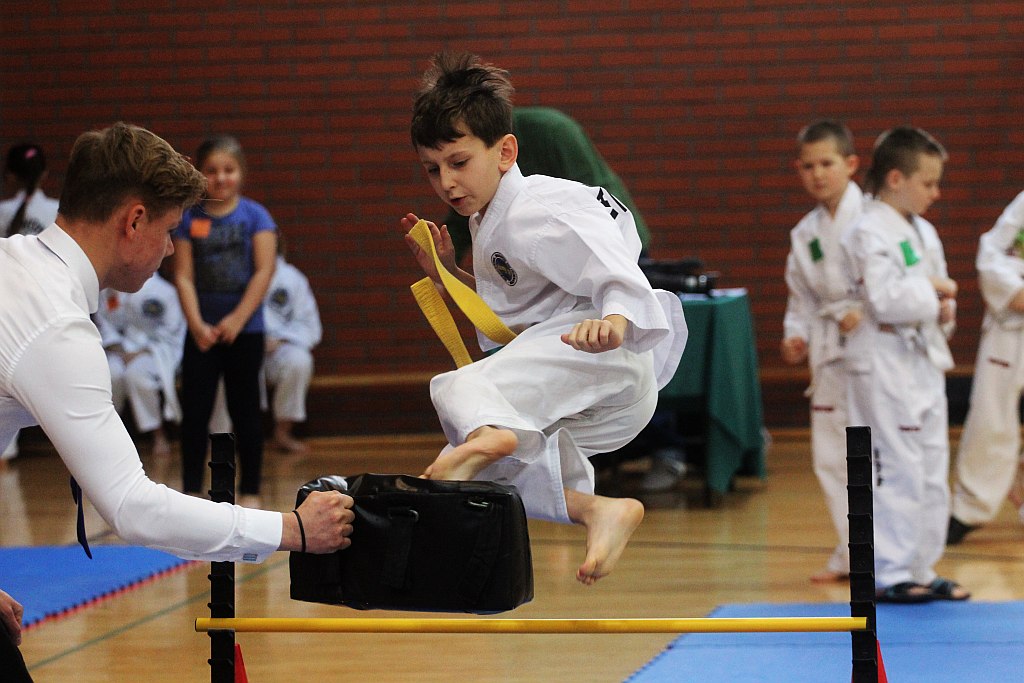 Mistrzostwa Zagłębia Miedziowego w Taekwon-do