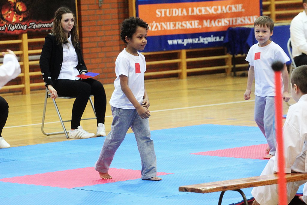 Mistrzostwa Zagłębia Miedziowego w Taekwon-do