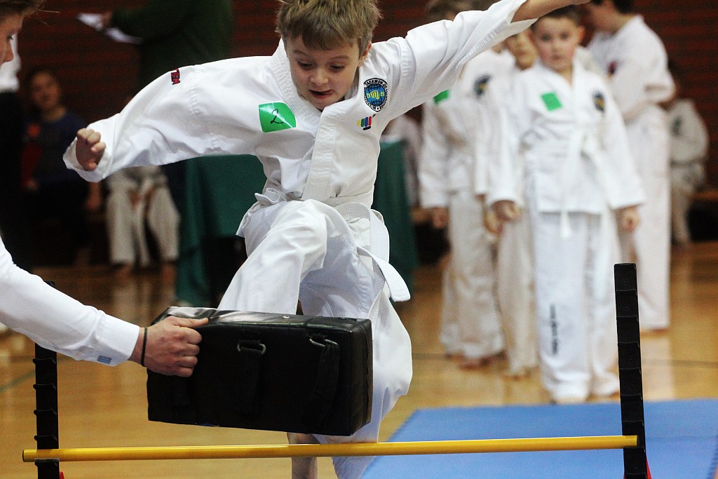 Mistrzostwa Zagłębia Miedziowego w Taekwon-do
