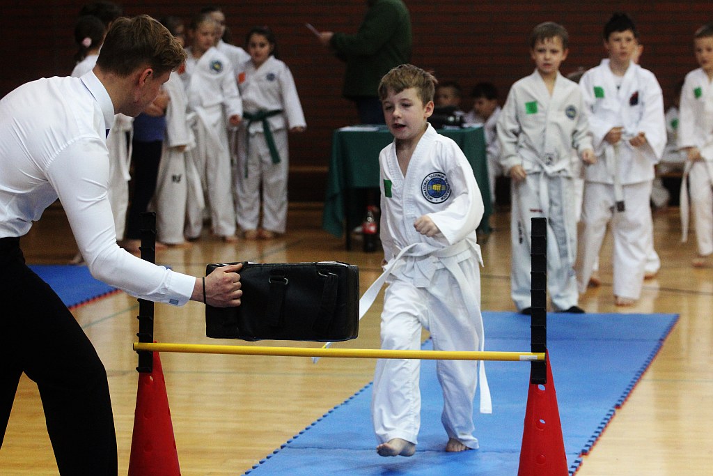 Mistrzostwa Zagłębia Miedziowego w Taekwon-do