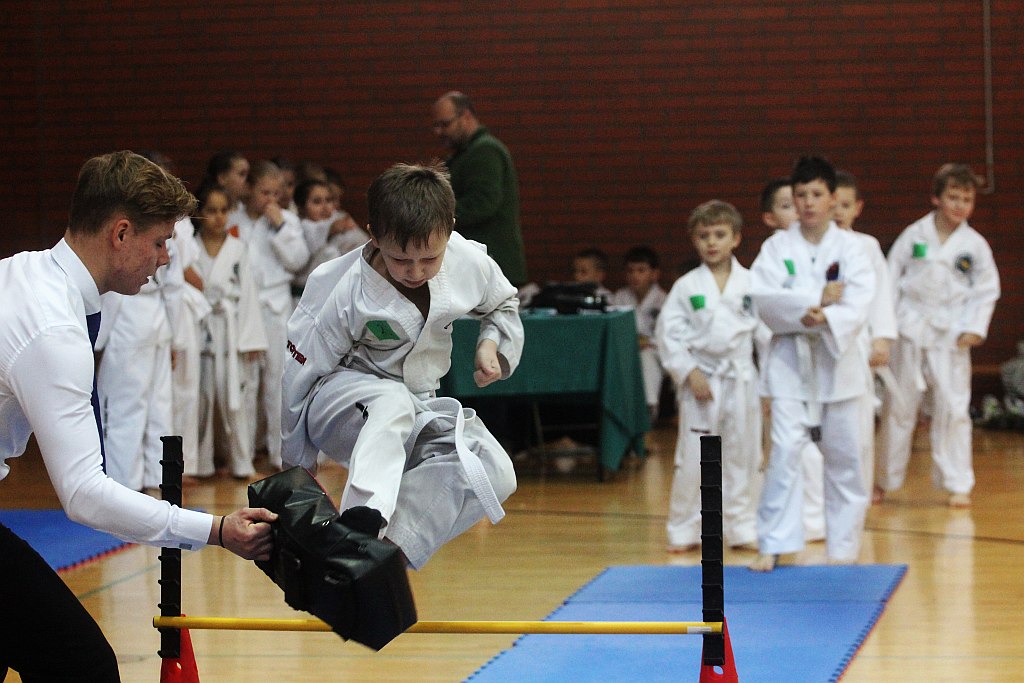 Mistrzostwa Zagłębia Miedziowego w Taekwon-do