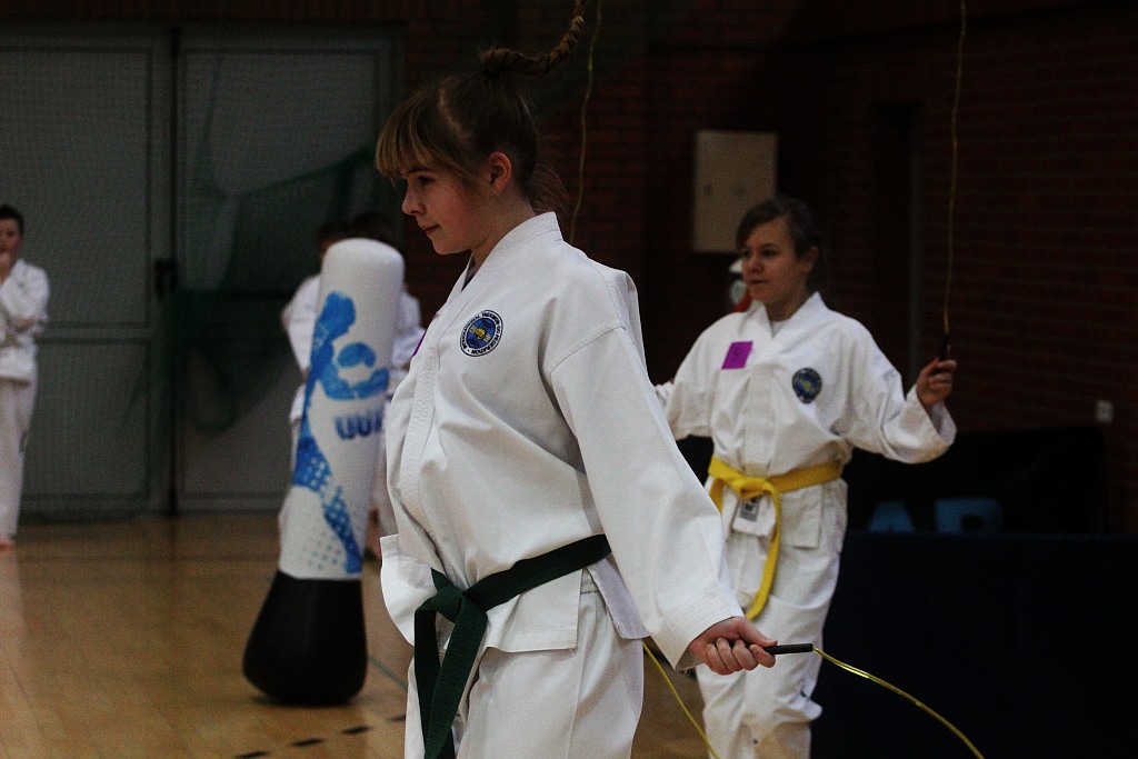 Mistrzostwa Zagłębia Miedziowego w Taekwon-do