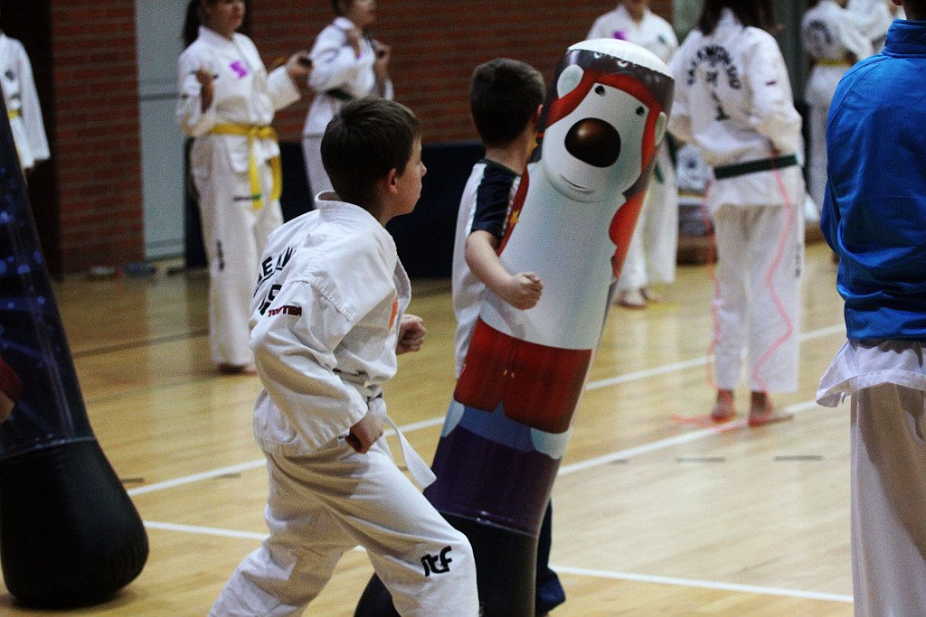 Mistrzostwa Zagłębia Miedziowego w Taekwon-do