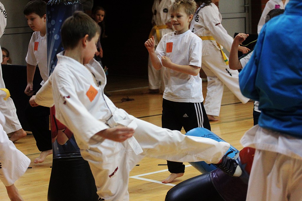 Mistrzostwa Zagłębia Miedziowego w Taekwon-do