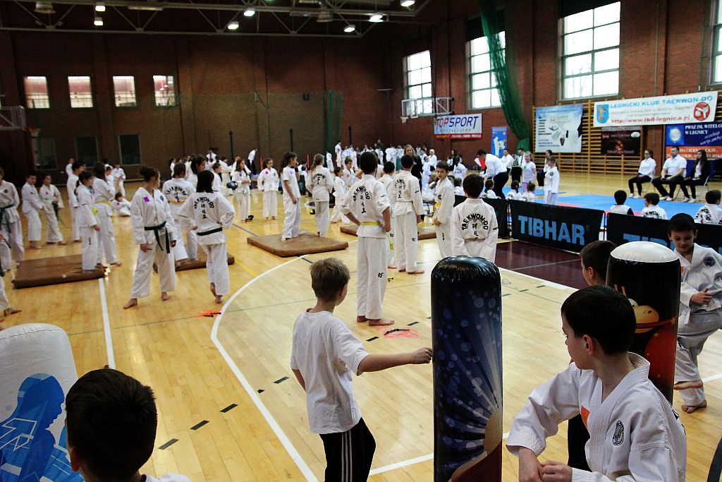 Mistrzostwa Zagłębia Miedziowego w Taekwon-do