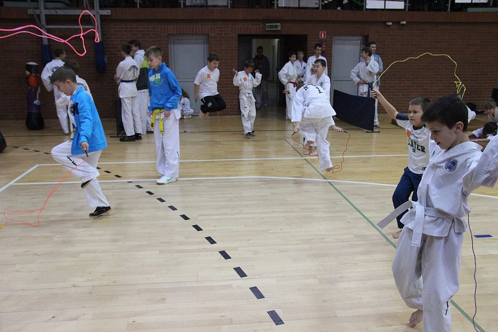 Mistrzostwa Zagłębia Miedziowego w Taekwon-do
